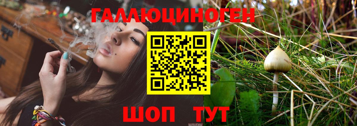Псилоцибиновые грибы мухоморы  наркошоп  Кызыл  Вход с VPN 