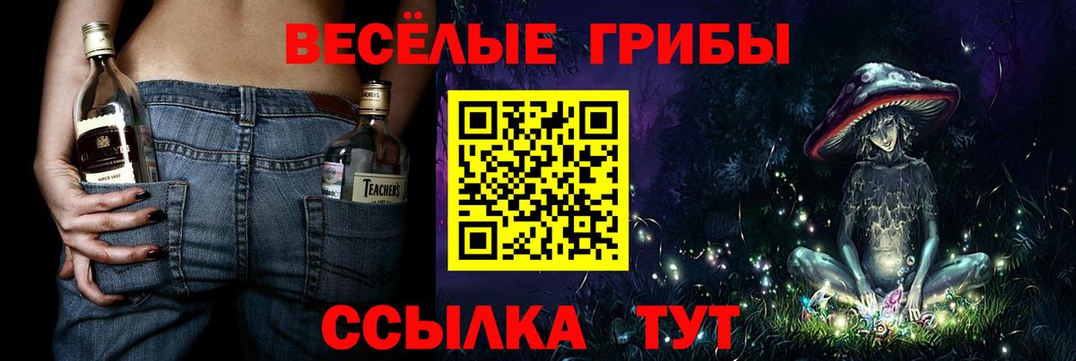 Псилоцибиновые грибы MAGIC MUSHROOMS Кызыл